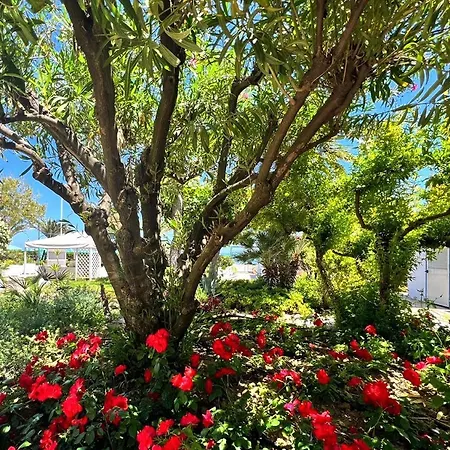 Parco Delle Rose Отель 4*