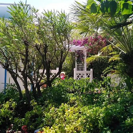 Parco Delle Rose 4* Сильви-Марина