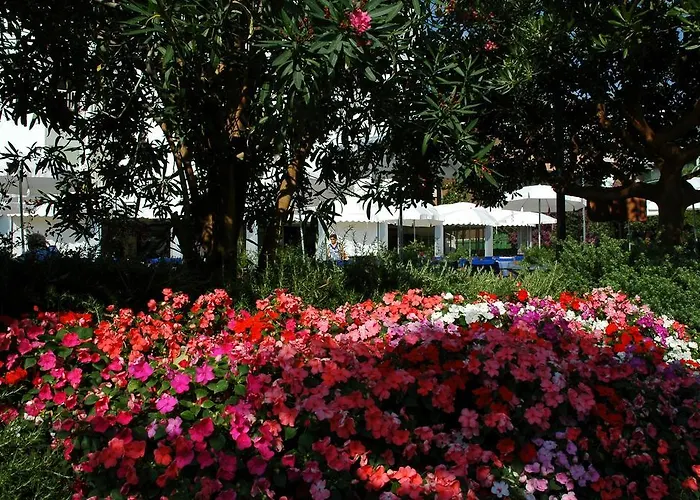 Parco Delle Rose 4*
