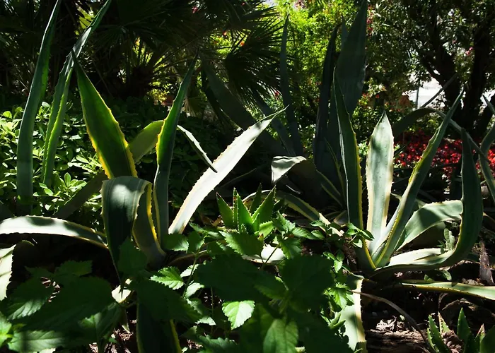 Parco Delle Rose Hotel Silvi Marina